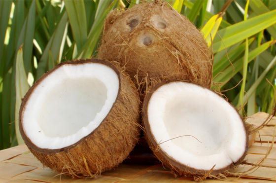 Kokosový ořech mladý