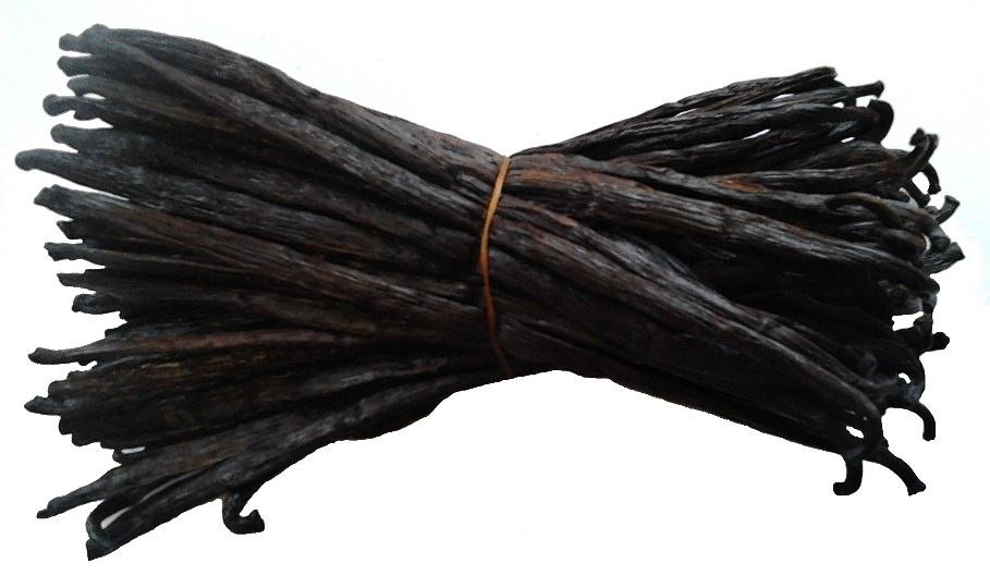 Vanilka 1 ks - 14 cm