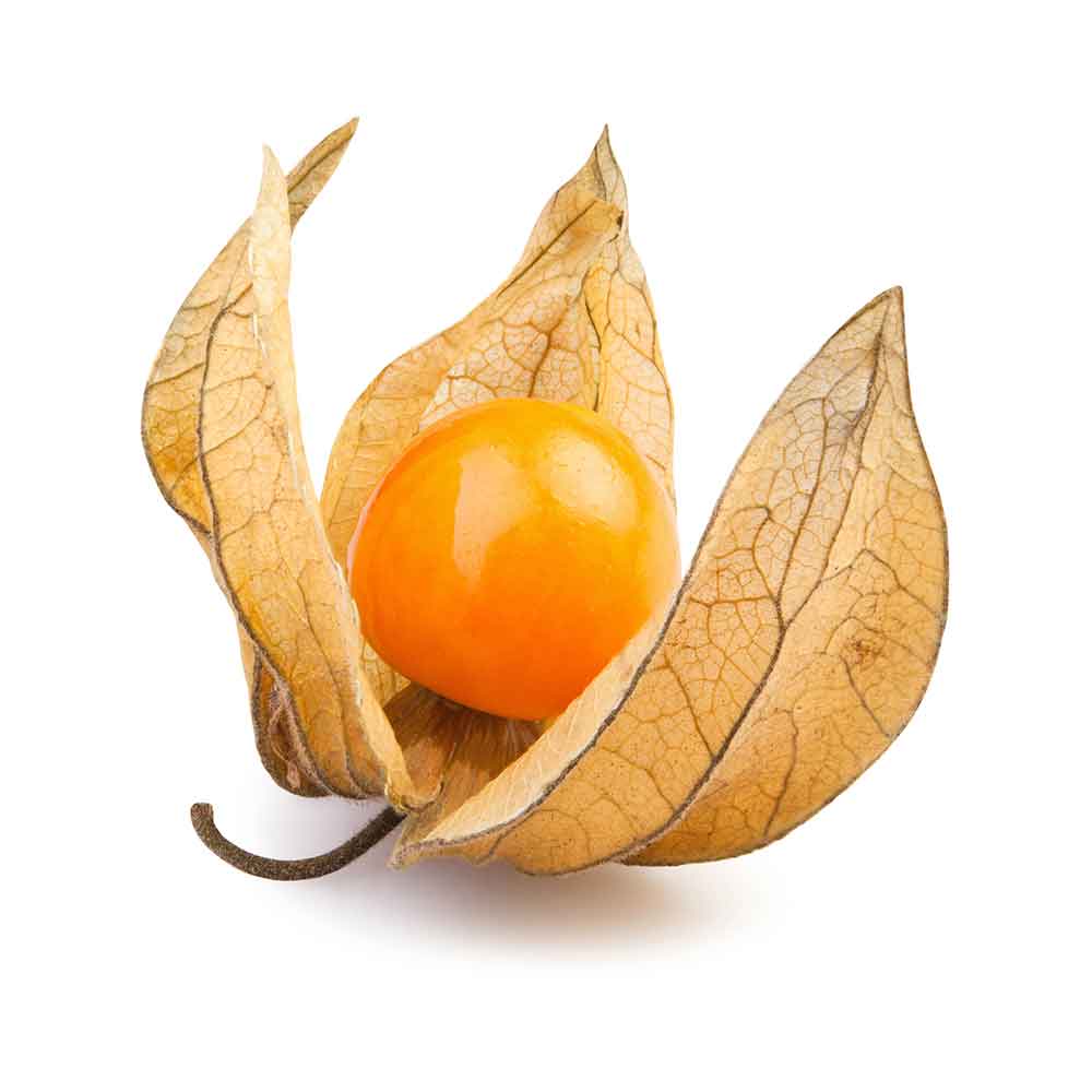 Physalis - Mochyně 